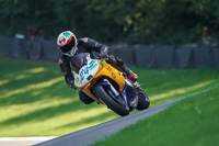 brands-hatch-photographs;brands-no-limits-trackday;cadwell-trackday-photographs;enduro-digital-images;event-digital-images;eventdigitalimages;no-limits-trackdays;peter-wileman-photography;racing-digital-images;trackday-digital-images;trackday-photos